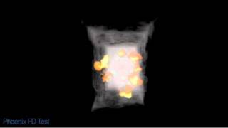 PFlow+Phoenix Test 1