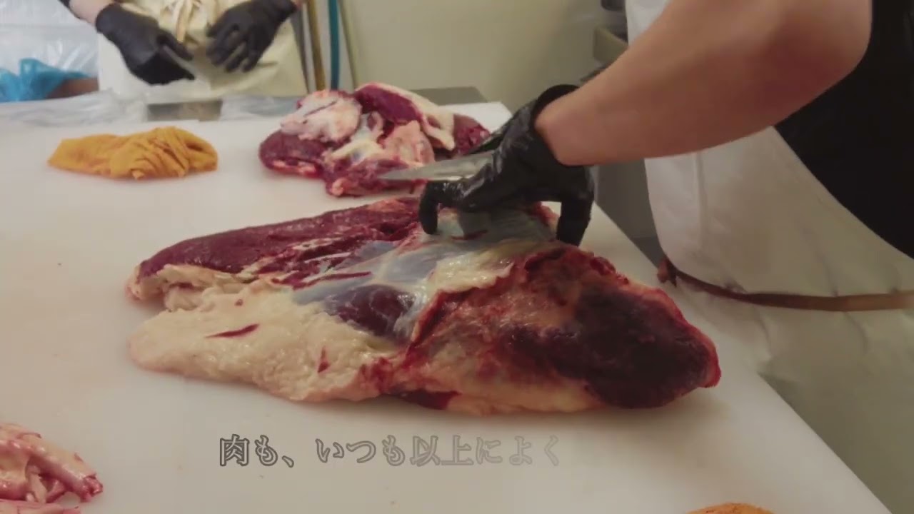 【佃牧場通信】2026年午年 初屠きの日 ― 仕事始め