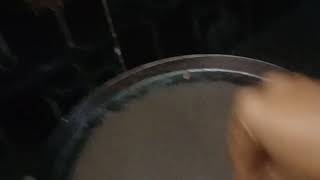 Perfect Paper Dosa Making