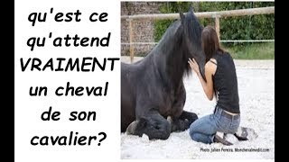 Qu Est Ce Qu Attend Vraiment Un Cheval De Son Cavalier Youtube