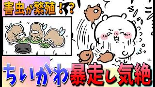 【ちいかわ】コショウ虫編が始まった予感…うさぎはちいかわを助けることができるのか？【最新話感想考察】