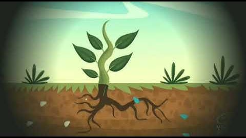 MLZS JHANSI CLASS 7 Science Chapter 1 Lecture 1