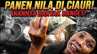 THE WHOLE VILLAGE IN AN UPROAR: HARVESTED OVER 1 TON OF FISH❗😱