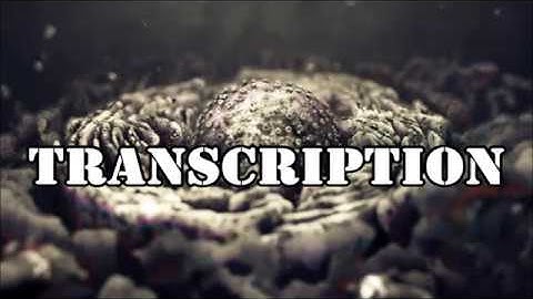 Protein Synthesis Simulation