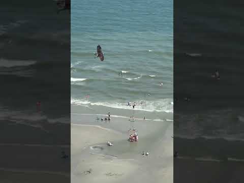 Osprey Carries Away Huge Fish as Myrtle Beach Tourists Watch On