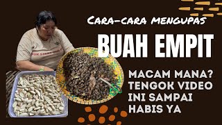 CARA CARA MENGUPAS DAN MEMBERSIHKAN BUAH KAYANGAN IAITU BUAH EMPIT / EMPELAJAU ATAU PELAJO