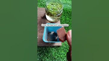 succulent potting mix#succulent #pottingmix #succulentsforbeginners #ytshorts #shortsfeed #easy