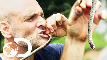 Ed Eats A Raw Snake To Survive In The Himalayan Wilderness | Ed Stafford: First Man Out