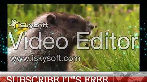 Best software for video editing with Crack