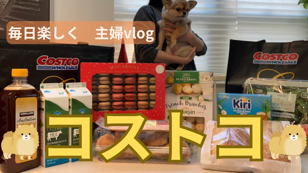 【COSTCO】コストコ購入品34品紹介｜楽しく賢く買って保存🌺｜主婦の日常