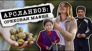 ЖУТКИЙ ореховый бизнес Кыргызстана. На пороге экологической КАТАСТРОФЫ!!!