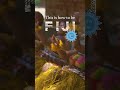 Celebrating Fiji Through Dance