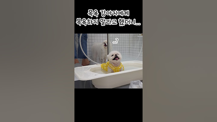 ♨️전퐁키! 옷은 벗고 들어가야지!!! 옷 입고 욕조에 들어가는 강아지가 어딨어!