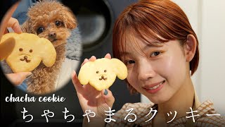 ちゃちゃまるクッキーを作ってみました🐶🍪❤️〜レンジで簡単お菓子作り〜