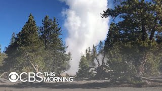 Long-dormant Yellowstone Geyser Spews Decades-old Trash Long-dormant Yellowstone Geyser Spews Decades-old Trash