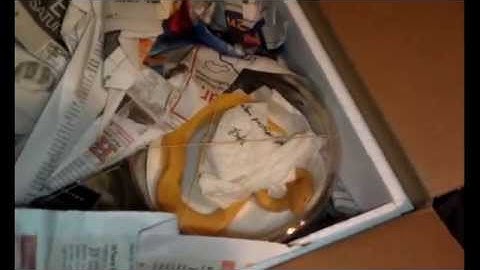 Unboxing Albino Pinstripe from Royal Constrictor Designs