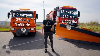 :   700      5  6595