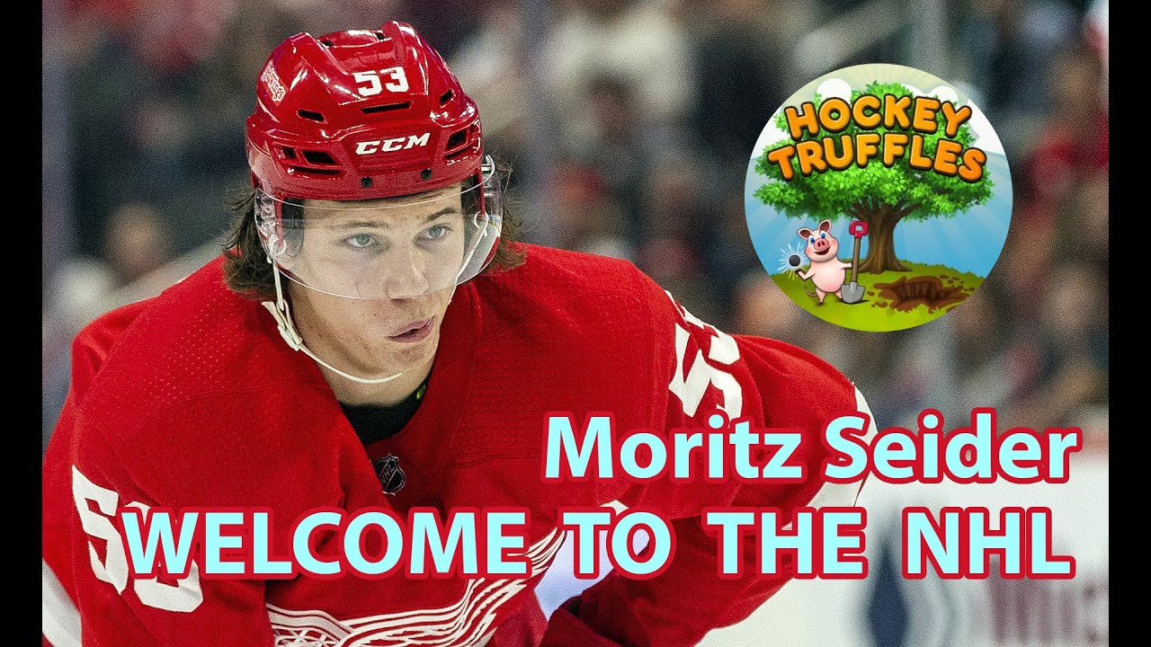 Detroit Red Wings' Moritz Seider is in search of a big contract