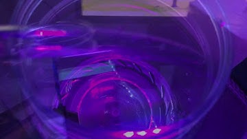 Video Demonstration : IoT Fertigation System