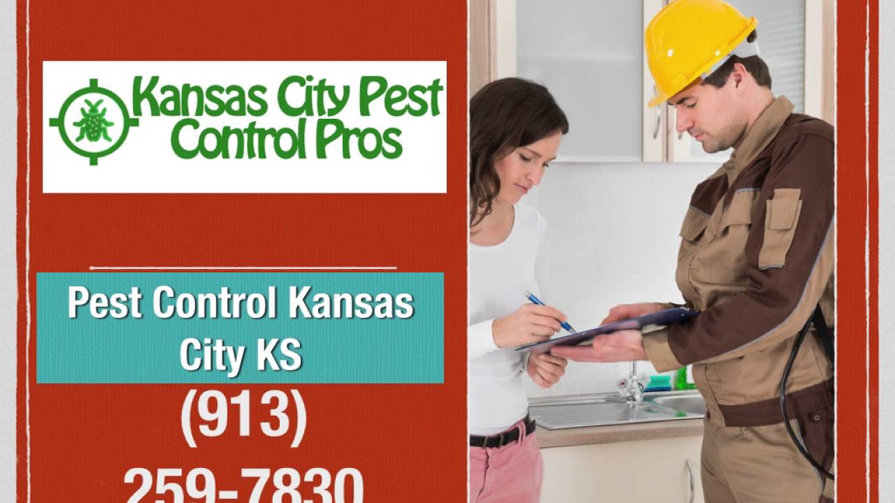 Kansas City Pest Control - Kansas City Pest Control Pros