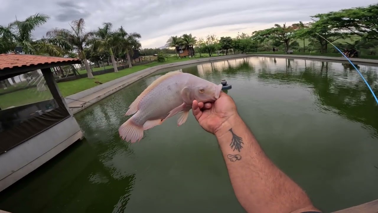 DIA DE PESCA NA FAZENDA BLACKSTONE PEGUEI UM PEIXE DIFERENTE 