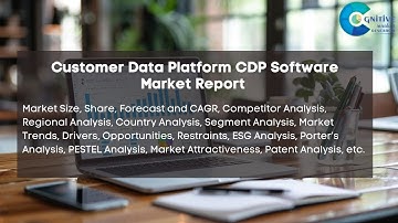 Customer Data Platform CDP Software Market Report 2024 | Forecast, Market Size & Growth