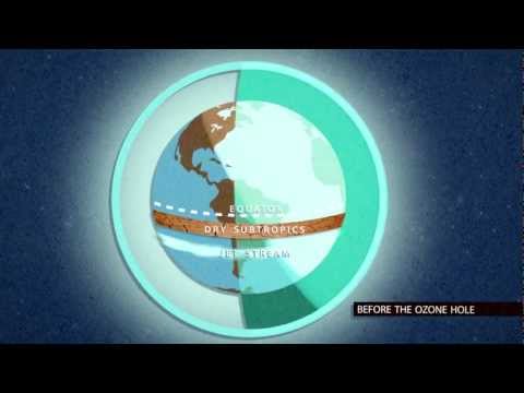 Озон задралын хор хохирлын тухай
