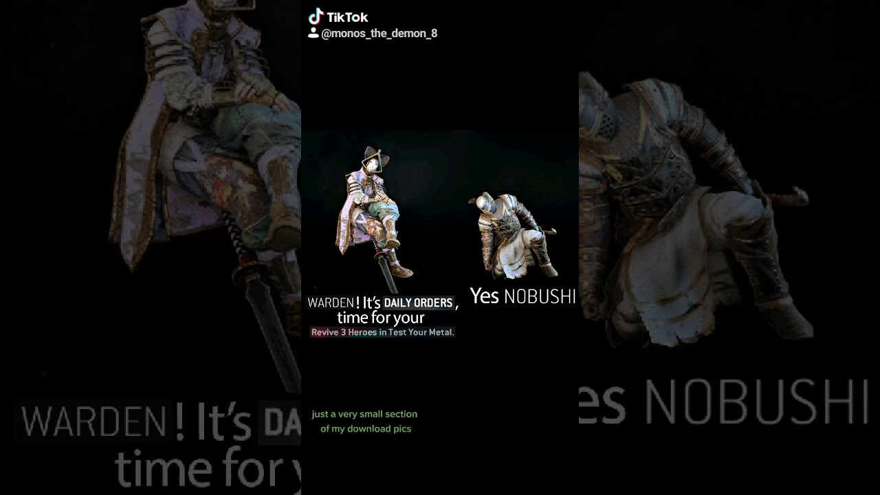 Some Pics from my Files, yes, I am a For Honor fan