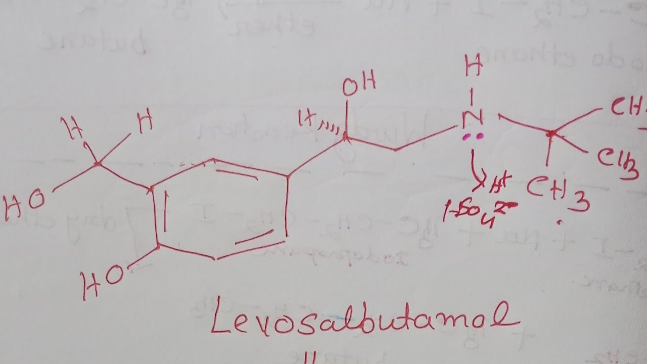 Fundamental concepts in Organic Chemistry| Degree of Substitution| Basicity Amine| Functional Groups