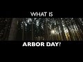 What is Arbor Day?
