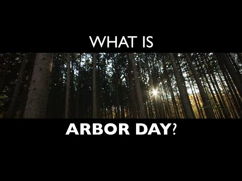 Video: Ter Ere Van Arbor Day Zijn Hier 17 Foto's Van Verbazingwekkende Bomen Van Over De Hele Wereld - Matador Network