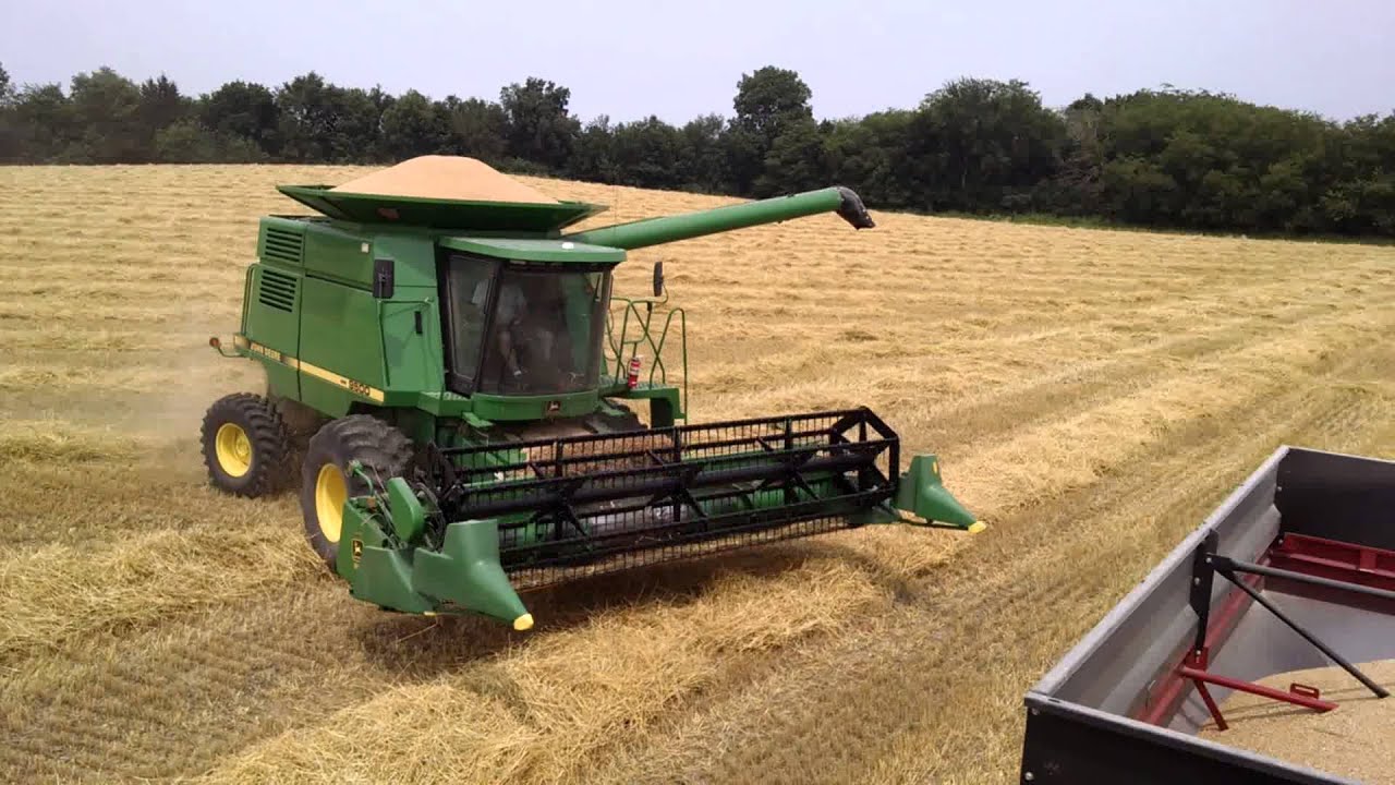 Iowa Wheat Harvest YouTube