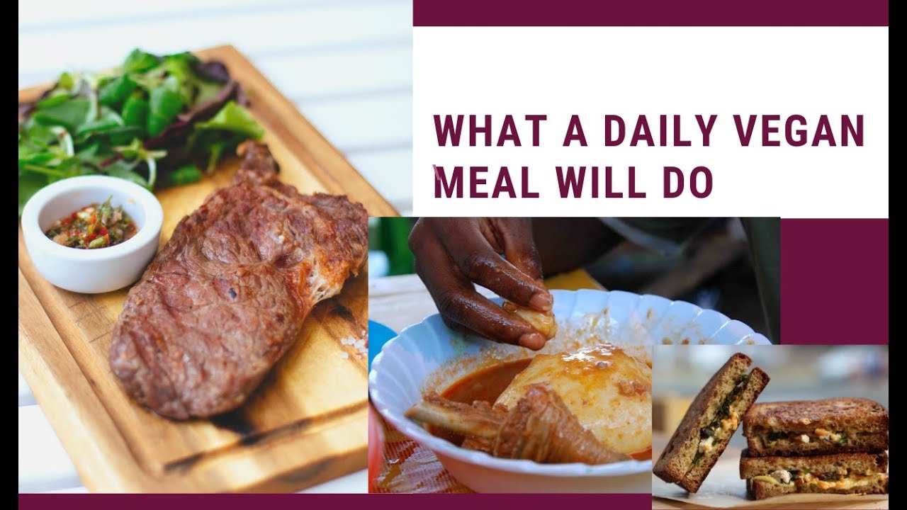 what a daily vegan meal will do YouTube
