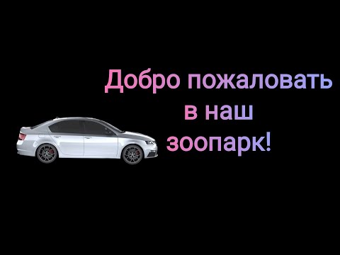 Кого выбрать: игроманку или шал*ву? История от подписчика.