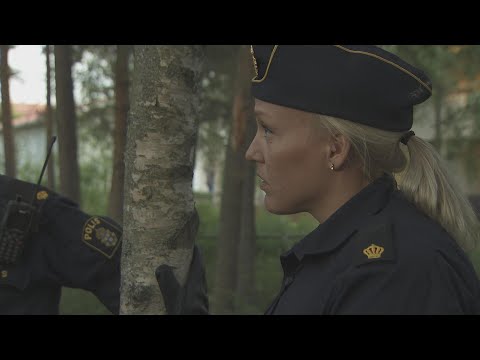 Video: Legenden om Sannikov Land