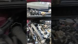 Peugot 208  2019 distribution