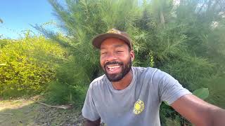 My Bible Reading Plan | Alex Wilson