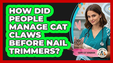How Did People Manage Cat Claws Before Nail Trimmers? - Happy Cat Handbook