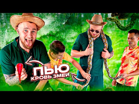 ЭЛИКСИР МОЛОДОСТИ ИЗ КРОВИ И СЕРДЦА КОБРЫ. ТАЙЛАНД.