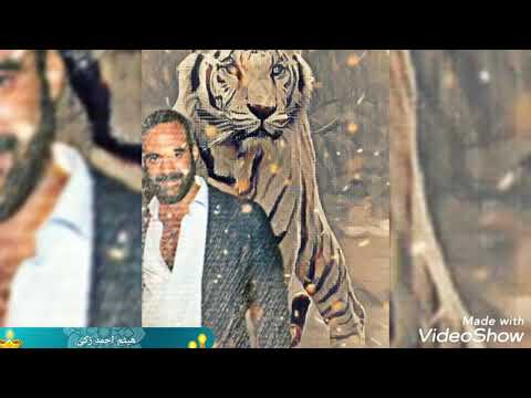 هيثم احمد زكى طفاكى القدر ياشمعتى سنوات الضياع