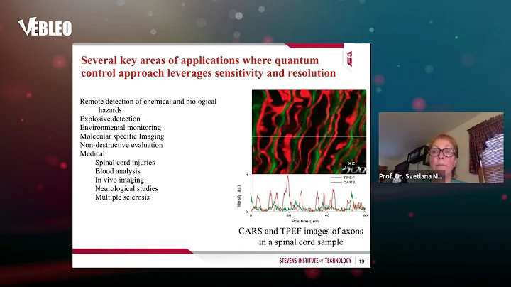 Prof. Dr. Svetlana Malinovskaya | Stevens Institute of Technology | United States | Lecture| #Vebleo