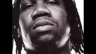 KRS ONE - 1999 - The Refinitions (feat. Smooth Bee)
