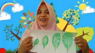 Video Pembelajaran TK Tema Tanaman Sub Tema Pohon Jambu