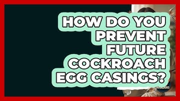 How Do You Prevent Future Cockroach Egg Casings? - Insects and Invaders