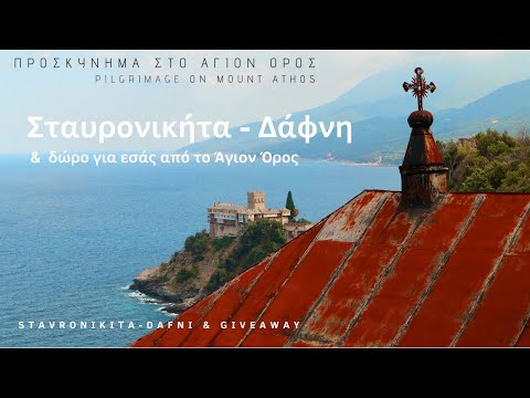 Σταυρονικήτα - Δάφνη