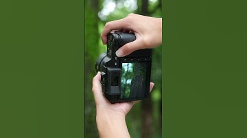 Explore Up Close With a 100MP Camera 📷 Hasselblad X2D