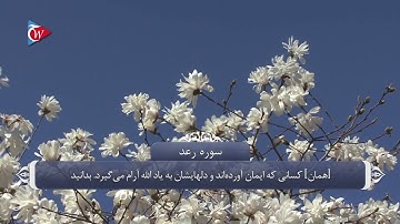 ذکر و تسبیح الله در قران_سوره رعد آیه 28