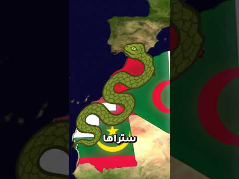 لن تصدق أشكال هذه الدول العربية على الخريطة مفاجأة دول عربية ت شبه أشياء مألوفة