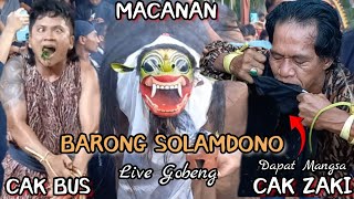 Macan Macanan Jaranan Barong Solamdono Live Gombeng Kalipuro