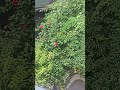 #motivation #nature